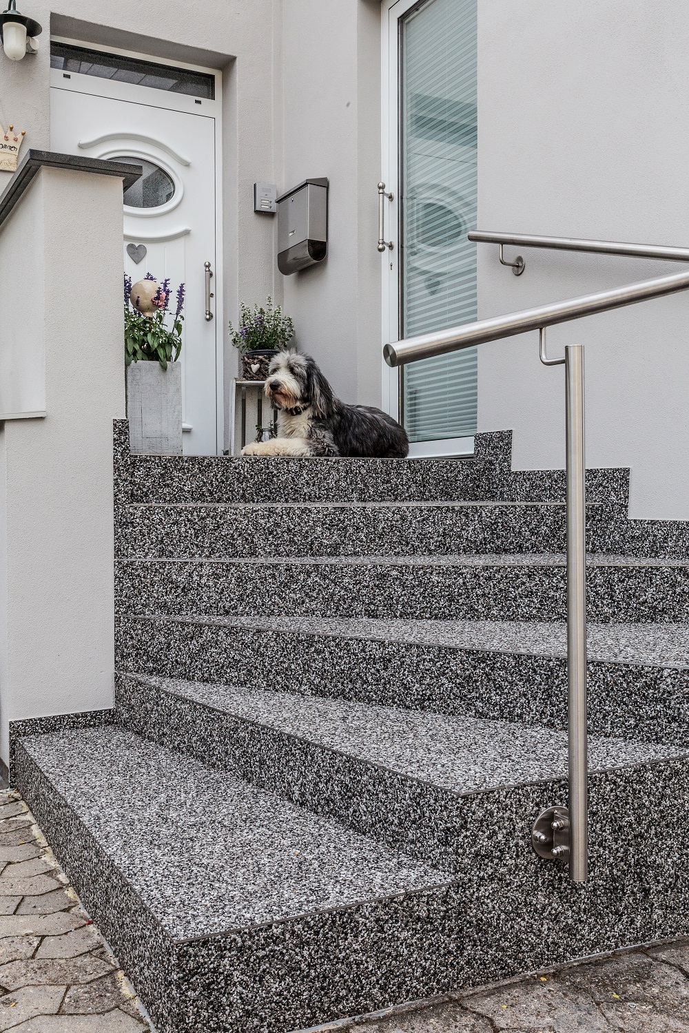 Hauseingang mit einer markanten granitähnlichen Treppe. Die Treppe besteht aus mehreren Stufen und ist mit einem Edelstahl-Geländer ausgestattet. Auf einer der oberen Stufen liegt ein Hund, der anscheinend auf seinen Besitzer wartet oder einfach nur die Umgebung beobachtet. Der Hund hat ein flauschiges Fell und scheint von mittlerer Größe zu sein. Rechts von der Treppe befindet sich eine weiße Wand mit einem Fenster, während sich links eine weiße Eingangstür mit einem darüberliegenden halbrunden Fenster befindet. An der Wand neben der Tür hängen Blumentöpfe mit blühenden Pflanzen. Das Gesamtbild vermittelt den Eindruck eines gepflegten und modern gestalteten Eingangsbereichs.